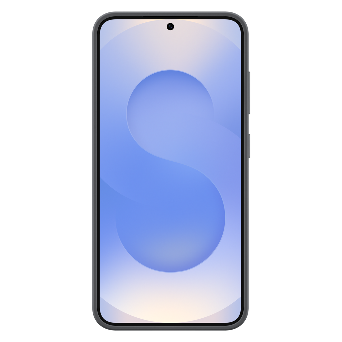 Samsung S25 Silicone Cover